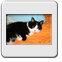 Bild 008