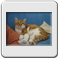 Bild 001