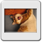 Bild 004