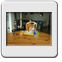 Bild 009